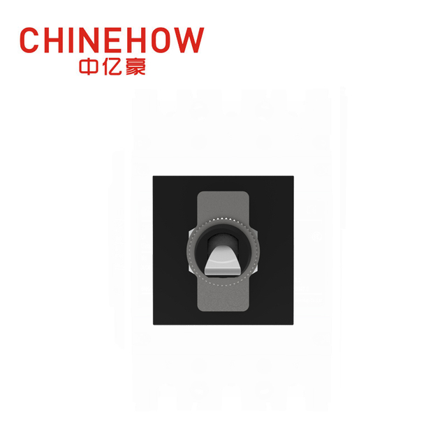 CVP-SM Hudraulic Magnetic Circuit Breaker Paddle Actuator with Tab(QC250) 2P Black